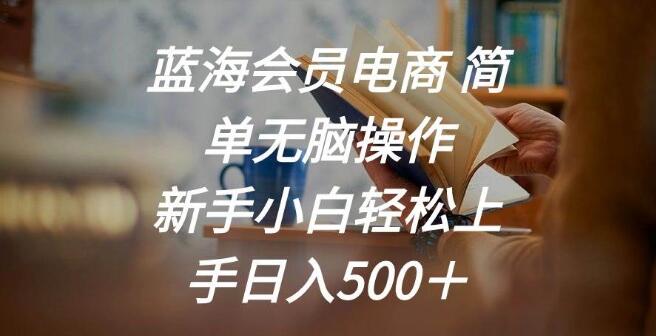 蓝海会员电商实操，简单易懂，新手小白也能轻松上手，日入500+-聚财技资源库
