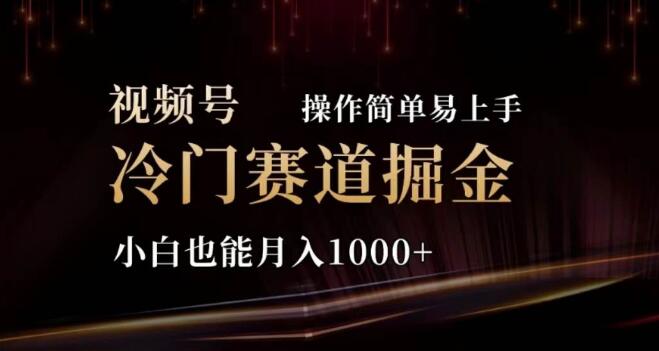 2024视频号新蓝海，冷门赛道轻松掘金，小白也能日入千元，操作简单上手快！-聚财技资源库