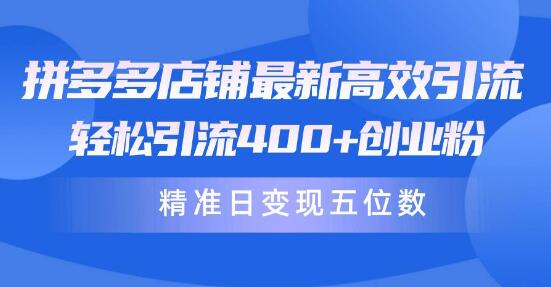 拼多多店铺高效引流秘笈：轻松吸引400+创业粉丝，精准日变现五位数！-聚财技资源库