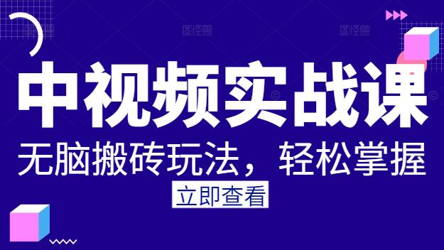 中视频创作秘籍：揭秘无脑搬砖实战课，轻松掌握视频制作与流量密码-聚财技资源库