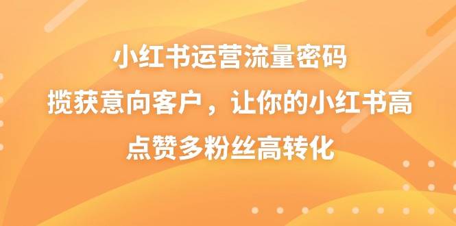小红书运营秘籍：揭秘流量增长密码，吸引意向客户，点赞粉丝转化全攻略！-聚财技资源库