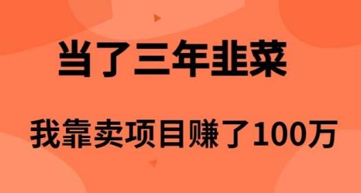 【韭菜逆袭！】从韭菜到赢家：3年卖项目赚百万，我的真实经历！-聚财技资源库