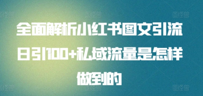 小红书图文营销秘籍，日引100私域流量实战解析，全面揭秘引流技巧！-聚财技资源库