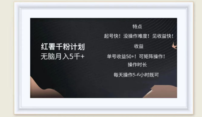 红薯千粉计划实战分享，轻松实现月入五千，即做即赚的高效赚钱策略！-聚财技资源库