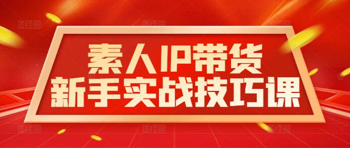 【独家揭秘】素人如何打造IP高效带货？实战课程带你从0到1！-聚财技资源库