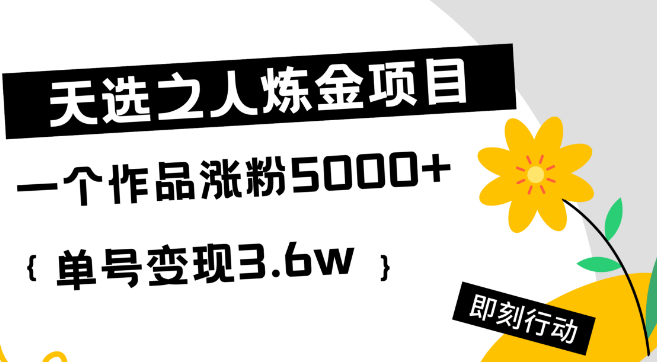 【天选项目】炼金术热门来袭，单部作品狂揽5000+粉丝，单号变现惊人达3.6万+-聚财技资源库