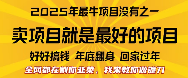 2025年互联网创业新趋势，掌握卖项目的艺术，教你如何成为镰刀而非韭菜！-聚财技资源库