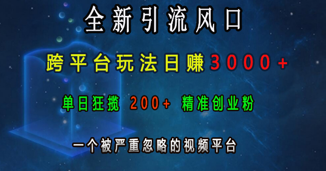 新引流趋势揭秘，跨平台营销玩法，日收益潜力超3000+，精准捕获200+创业粉丝，揭秘被低估的视频平台！-聚财技资源库