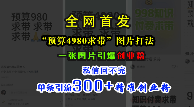 小红书“4980带我飞”图片策略，高效引流创业粉，单条信息吸引300+精准客户-聚财技资源库