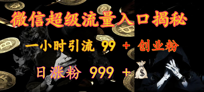 微信超级流量入口深度解析，高效引流技巧，一小时吸引99+创业粉丝，日增粉999+秘籍-聚财技资源库