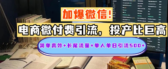 电商微付费引流高效策略，投产比超高，轻松实现长尾流量与高质量创业粉，单人单日可引500+-聚财技资源库