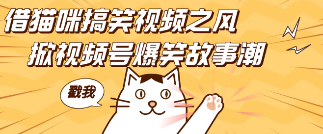 猫咪搞笑视频热潮，引爆视频号爆笑故事，日赚四位数新体验，无门槛创业良机！-聚财技资源库