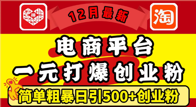 12月最新电商策略，1元成本引爆创业粉，日吸500+精准用户，轻松实现月入5万+-聚财技资源库