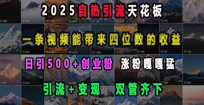 2025自热引流新高度，一条视频狂揽四位数收益，引流变现双剑合璧，日增500+创业粉丝，涨粉速度飙升！-聚财技资源库