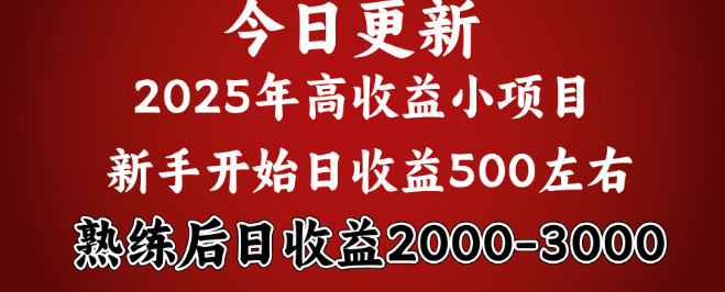 2025开年热门项目来袭，新手轻松日入500+，熟练掌握后日均收益超2000+-聚财技资源库