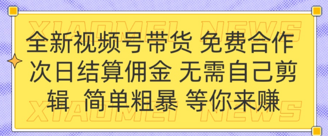 全新视频号招募合作，免费加入，佣金次日结算，无需剪辑技能！-聚财技资源库