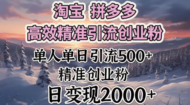 淘宝拼多多高效引流策略，精准捕获创业粉丝，单人单日引流500+，日变现超2000+-聚财技资源库